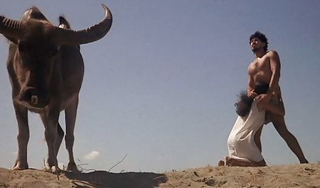 Vollbusiger haariger Kerl leckt die geile sexvideos kostenlos süße Lesbe Lulu